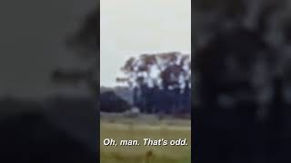 Shapeshifting Creature CAUGHT On Camera | Paranormal Caught on Camera | Travel Channel