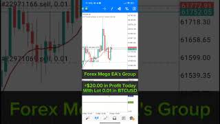 Best Forex EA Trading In BTCUSD 2024 - Forex Mega EA Group #003