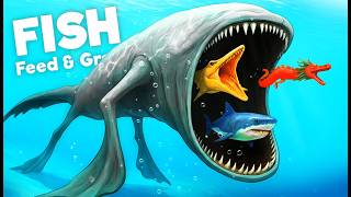 Spin Wheel Decides The MODDED FISH In Feed & Grow Fish!