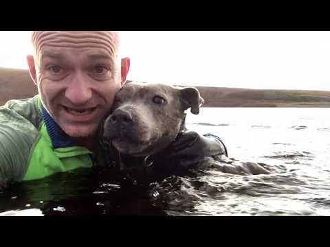 AMAZING DOGS. Pack of dogs, human and freezing water.