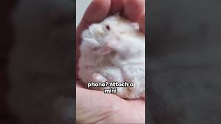 PARODY How To: Rev Up Your Phone Top 5 Hacks to Supercharge Its Speed! ⚡️