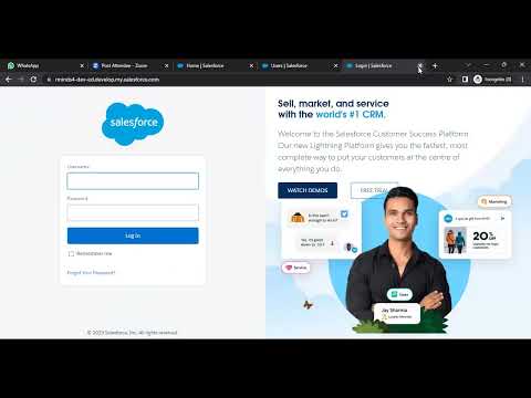 Profiles in Salesforce