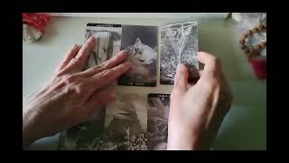 SCORPIO SIDEREAL ~ CAUGHT OFFGUARD ~ JANUARY 2026 Tarot Reading