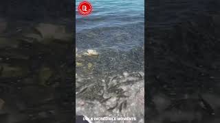 Incredible Moments Caught on CCTV Camera #20