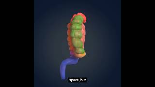 UPCOMING FUTURE WORLD INTRESTING FACTS  #futureinnovation #exploration #upcomingworld #predictions