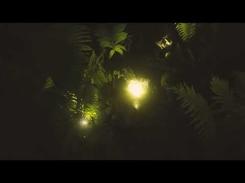 Garden at night!