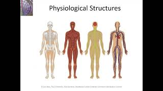 What Is Software Architecture