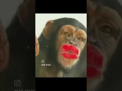 #comedy #funnyvideo #funny don't mind han.. Love U too😍🤣