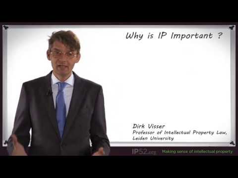 Why is IP Important - Professor Dirk Visser
