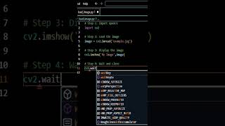 Load Images in Python using openCV! #Shorts #Python