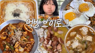 And so, a Korean food enthusiast living alone becomes... a chef... (Mukbang Vlog) Osam Bulgogi, S...