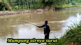Di sungai Brantas mancing umpan rumput VS mancing jaring lihat endingnya