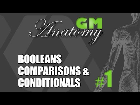 GM Anatomy 1: Booleans, Comparisons, & Conditionals