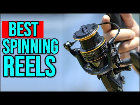 BEST Spinning Reels Top 3 2025
