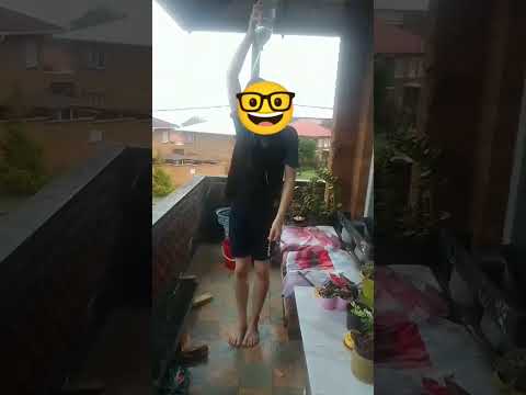 rain for a lab