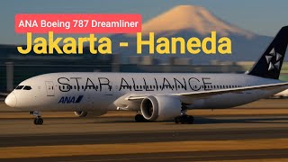 ANA NH 856 Jakarta - Tokyo Haneda | Boeing 787 Economy Class Flight Report