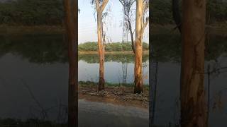 horror road between gurugram to delhi #devinsights #minivlog #viral #travel