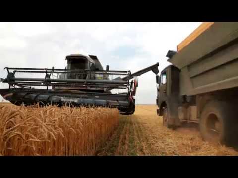 Grain Harvest - Infratec™ NOVA