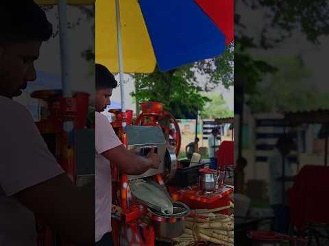 Ruk ja oo dil diwane || Hindi song #travel #ytshorts #vloggers