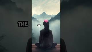 Boost Your Brain - 5 Daily Habits