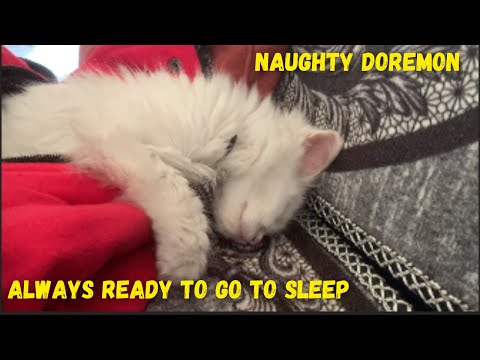 Doremon always ready to go to sleep | Naughty doremon | Aalsi billa | krrishi rathore |
