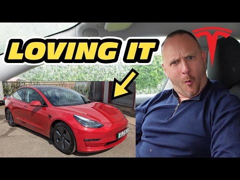 5 Features I am geeking out about with my 2021 Tesla Model 3 Long Range... #tesla #model3 #fanboy