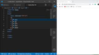 html meta tags - video tutorial
