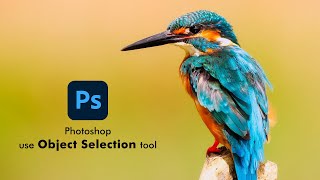 how to use object selection tool in Photoshop to remove background