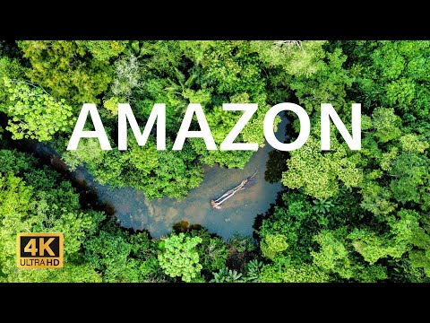 Amazon 4k - The Worlds Largest Tropical Rainforest - Relaxation Film with Calming Music - 3 Hours