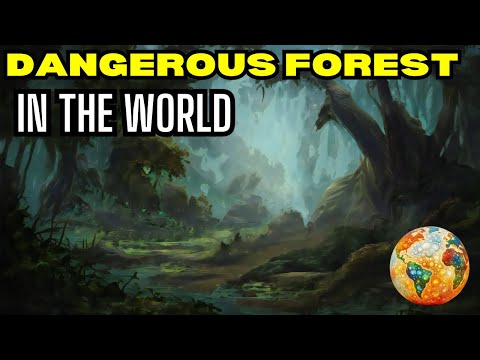 "Top 10 DEADLIEST Forests in the World - #1 Will Shock You | Unbelievable Discoveries!"