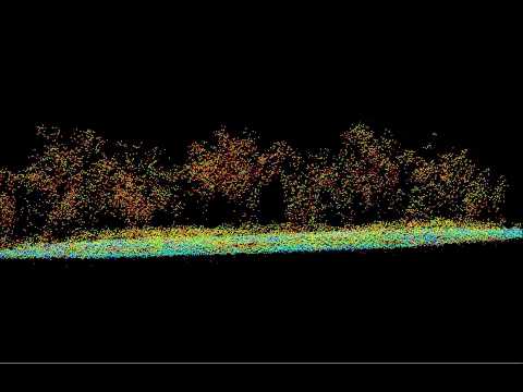 LiDAR point data over Savanna Woodlands in Queensland, Australia