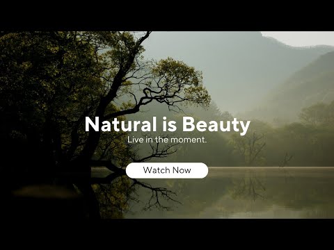 💤Deep Sleep and Music For Meditation 🧘🏻‍♂️