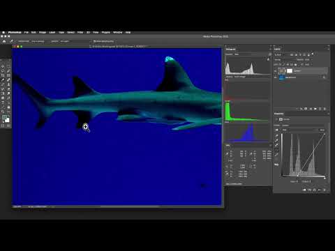 Color Correction in Photoshop #6 – Photoshop Histogram, Curves and RGB-Based Correction by Taz Tally