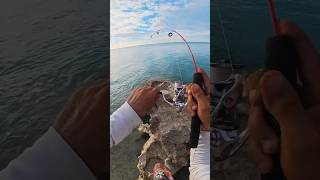 🔥 The Wildest Fishing Cast You’ll Ever See!