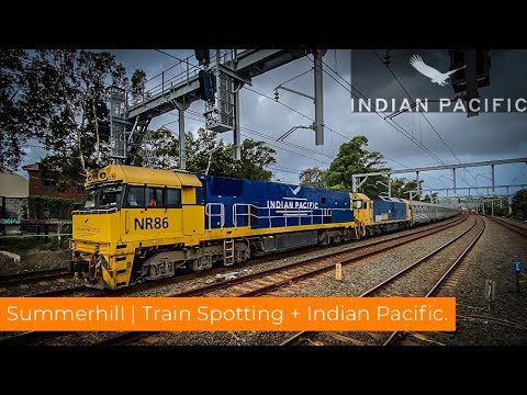 Summer Hill Train Spotting | Featuring the Indian Pacific.