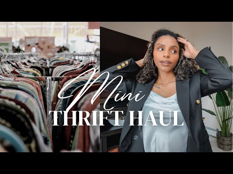 Mini Thrift Haul | Goodwill Thrift Vlog + Try On