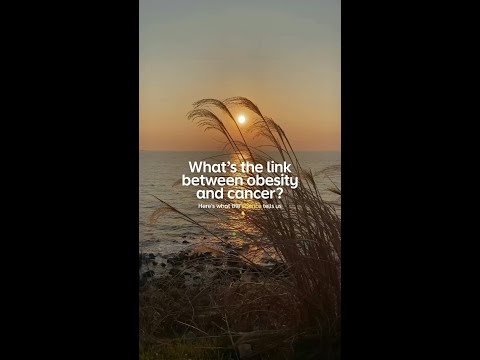 🔎 Research shows us that 1 in 20 cancers are linked to obesity. Let’s break that down further 👇