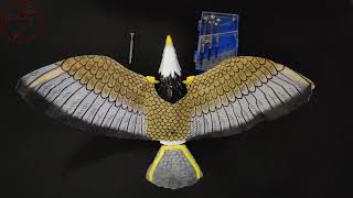 Ornithopter disassembly | Dismantling an Ornithopter | How Ornithopters work | Flapping wing models