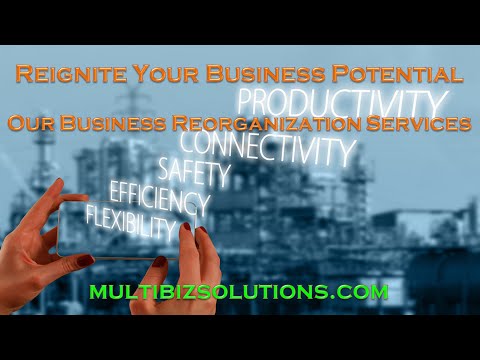 Multi Biz Solutions | Business Reorganization Service#businessreorganization #businessorganization