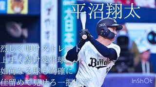 平沼翔太選手 新応援歌