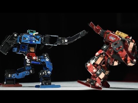 Battlebots best #battleroyale #battlebots #chinese #small