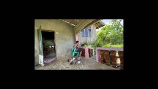 Working From Home as a Remote Developer in the Province with my Dogs