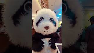 Panda theme cutest restaurant in Lahore #beautiful #cute #panda #pandadance