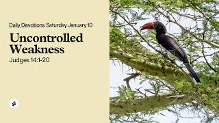 Uncontrolled Weakness – Daily Devotional