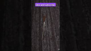 granny new trick #granny #shorts #viralvideo #gaming #grannytipsandtricks #horrorgaming #games#trend
