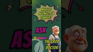 Neonectria Canker - a new episode from the Crop Doctor #farming #facts  #agribiome #agriculture