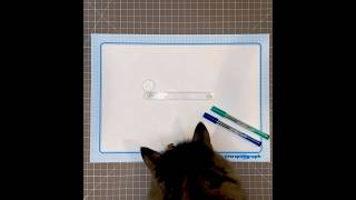 Gary ordered his 1st Spirograph #spirograph #spirographart #cats #catsandart #lofi #timelapse