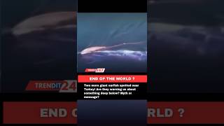 END OF THE WORLD? #Oarfish #DeepSeaSecrets #NaturalSigns #EarthquakeWarning #MysteriousOcean