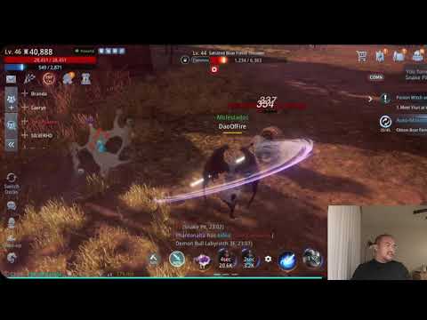 Mir4- Game Review, The Real Potential of the Game