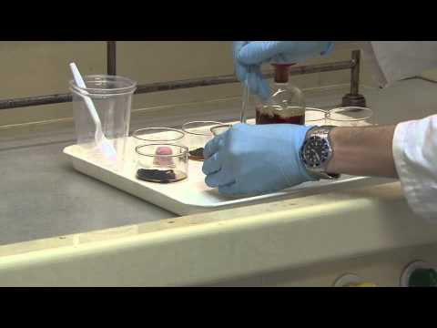 Lunch on Venus